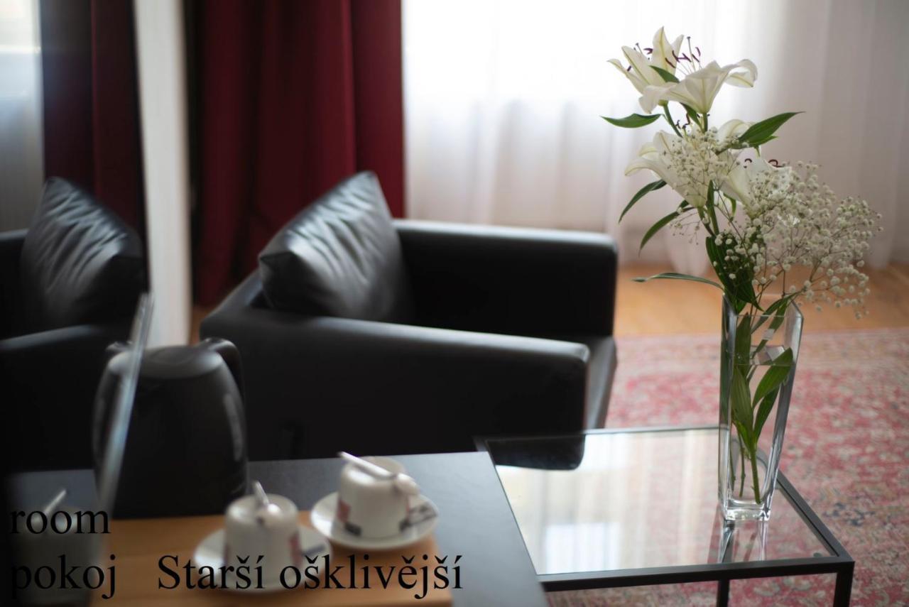 Hotel Besidka à Slavonice Extérieur photo